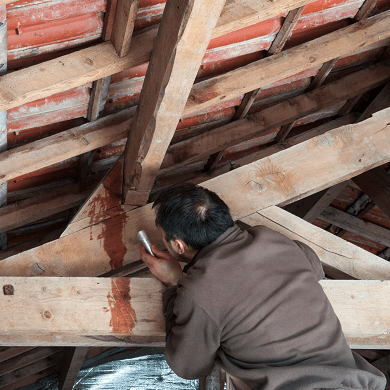 Houston Attic Repair Services - Property Managers Etc The Woodlands Texas